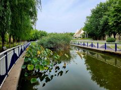 -北京国家会计学院