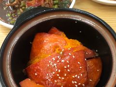 -宾湖农庄·农场特色(太湖龙之梦店)