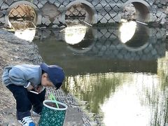 -东坝千亩湖公园
