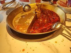 -小龙翻大江文化火锅(宽窄店)