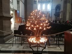 -圣母百花大教堂穹顶