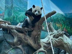 -武汉动物园