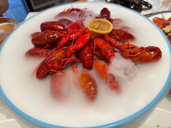 -杨氏青龙虾·羊蝎子(托乐嘉店)
