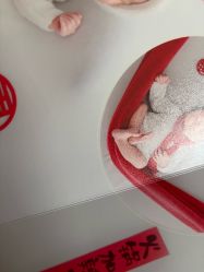 点击看大图 -玛瑞莎孕婴童摄影到家拍
