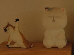 -悟白咖啡WoobyCafe