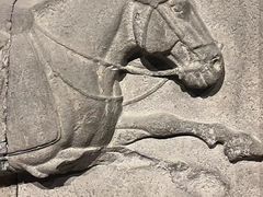 -西安碑林博物馆