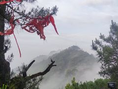 -缙云山景区