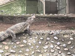 -石家庄市动物园