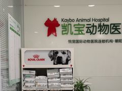 -悦宠凯宝动物医院·牙科·皮肤科(朝阳北路店)