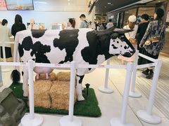 -红星前进面包牛奶公司(君太店)