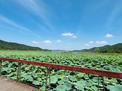 -东钱湖旅游度假区