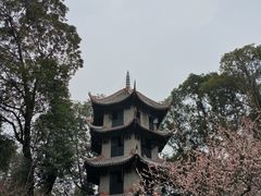 -成都杜甫草堂博物馆