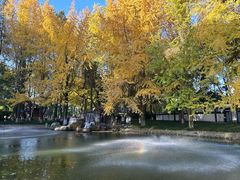 -温江公园