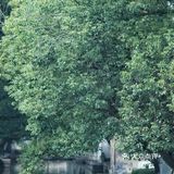 人间恍惚