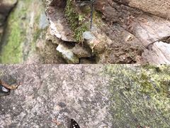 -周洛大峡谷
