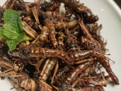 -燕春楼(海河华鼎店)