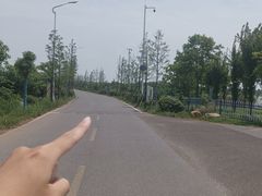 -梁子湖东篱老屋生态庄园