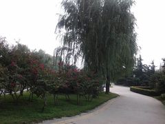 -康庄公园