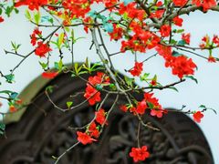 -棠湖公园