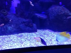 -沈阳海洋探索中心