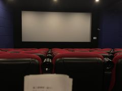 -大地影院(上海南汇店)