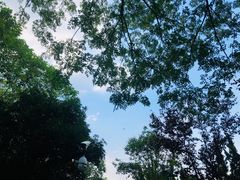 -五条人糖水铺(武林总店)