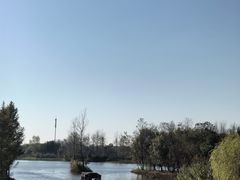 -溱湖国家湿地公园