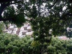 -薛记襄阳香辣牛肉面(平安路店)