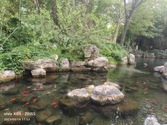 -趵突泉景区