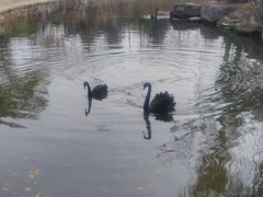 -石家庄市动物园