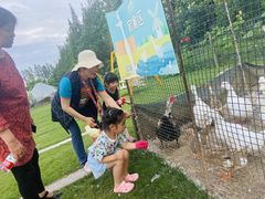 -前小桔亲子创意农场·草莓采摘·露营烧烤