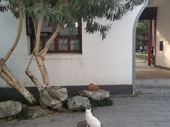 -南京中国近代史遗址博物馆(南京总统府)