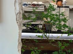 -竹子咖啡bamboo coffee
