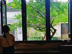 -乌镇东栅景区