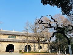 -灵谷景区