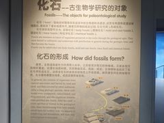 -辽宁古生物博物馆