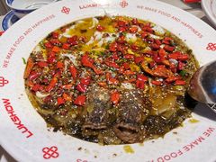 -禄鼎记·多口味酸菜鱼(侨鑫店)