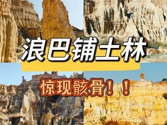 -元谋浪巴铺土林景区