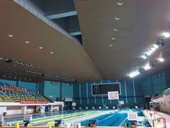 -重庆市奥林匹克体育中心-游泳跳水馆