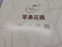 -苹果花园(桂林路店)