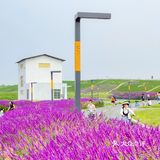 成都旅游｜这里拍照很出片