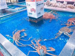 -盒马鲜生(红莲店)