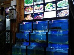 水产区-老东镇啤酒屋海鲜加工·蒸汽海鲜·海鲜烧烤(台东店)