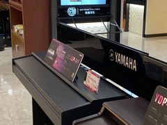 -知音艺术教育培训·钢琴培训·音乐培训(河西金鹰世界校区)