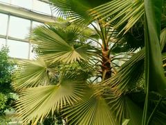 -石家庄市植物园