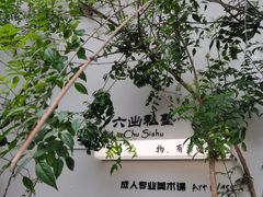 -六出私塾LiuChu•成人美术书法系统课程专业画室(熊婆婆的花园店)