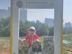 -青藏高原野生动物园
