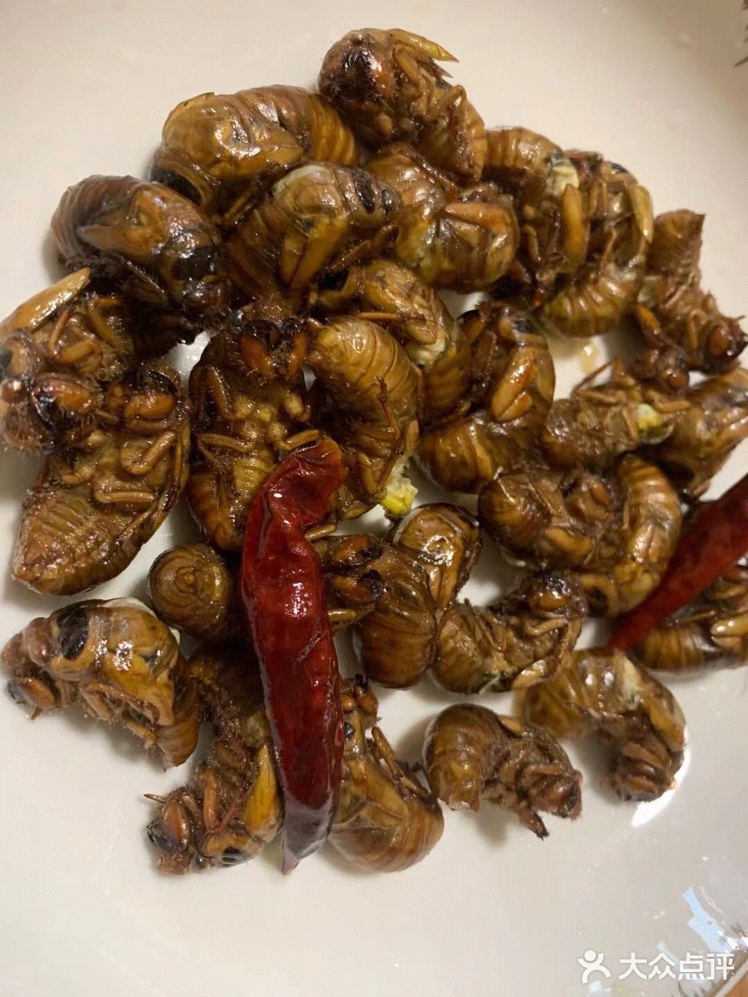 美食  |  见过的、吃过的～请举手🙋🏻‍♂️🙋🏻‍♂️🙋🏻‍♂️