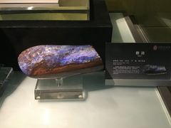 -中华赏石园