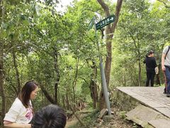 -紫金山山顶公园